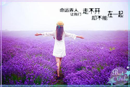 时间的雨，下了多少季:全文+番外+章节前文（苏昕然霍延舟）TXT清爽版在线