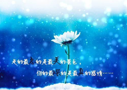 风花雪月总关情小说 阮梦华云澜全文目录阅读