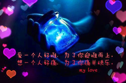将门王妃又重生了小说已完结苏引云破晓在线阅读