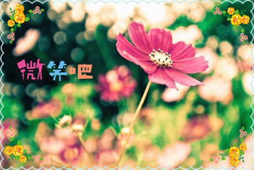 将军我们和离吧小说沈素心楚长廷全本目录阅读