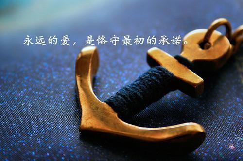 情深不知终负卿简知书秦谨言 情深不知终负卿小说免费阅读