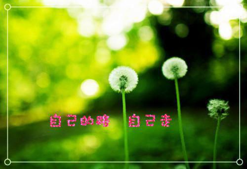 妈咪快上别怂小说 元念挚景铎颛全文目录阅读