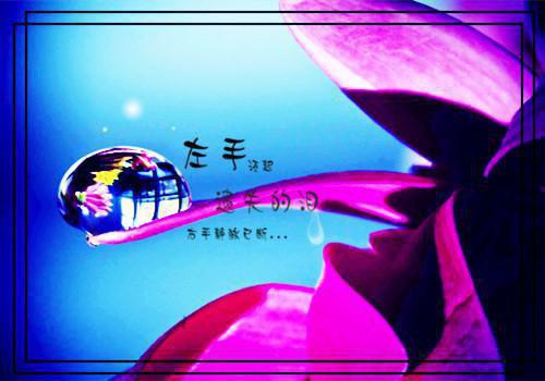 何如当初莫相识纪婉夕擎牧寒全文阅读 作者春雷炮