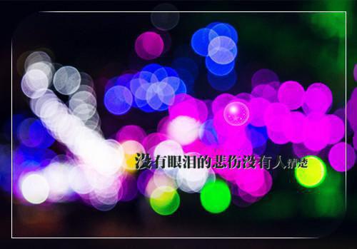 陆少的心尖宠妻完整版小说_陆少的心尖宠妻全文免费阅读