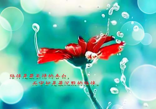 快穿之好男人修炼指南小说(快穿之好男人修炼指南)（季时安向晚宜）完整章节列表