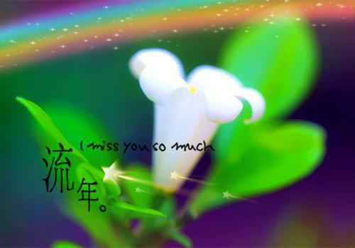 元曲名句