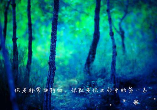 穆少的天价丑妻小说 穆景天夏紫曦全集阅读