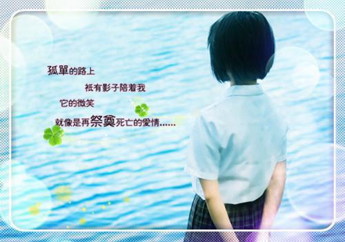 往后无你无余生小说无弹窗 乔南浔陆北洲邵云琛在线阅读