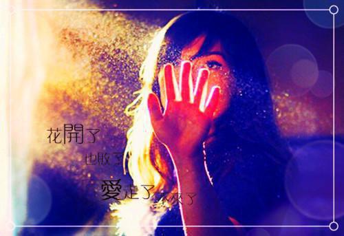 离职后被前上司缠上精彩小说(在逃兔子)全章节阅读