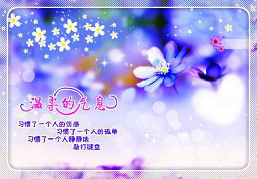 青春创世纪电视剧原著小说 青春创世纪小说免费阅读