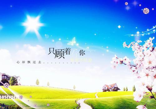 竞选会长演讲稿