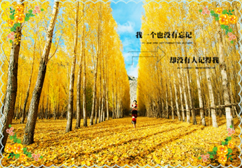 《相公不好惹》小说完整章节相公不好惹免费阅读