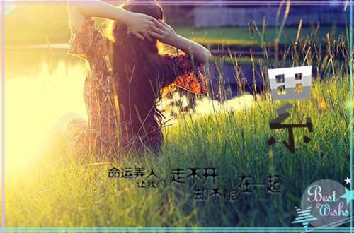 霸总追错夫人啦简冉,顾霆爵小说最新章节免费阅读