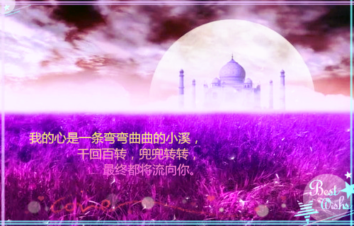 江浸月写的小说大佬家的崽又喊我妈咪小说大结局阅读