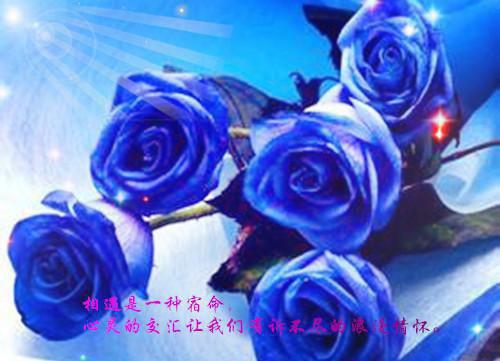 小说九州龙婿小说第2章精选阅读