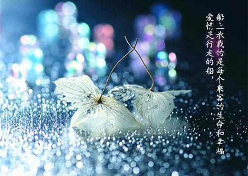 钟爱你时已晚小说全文免费阅读_钟爱你时已晚阅读