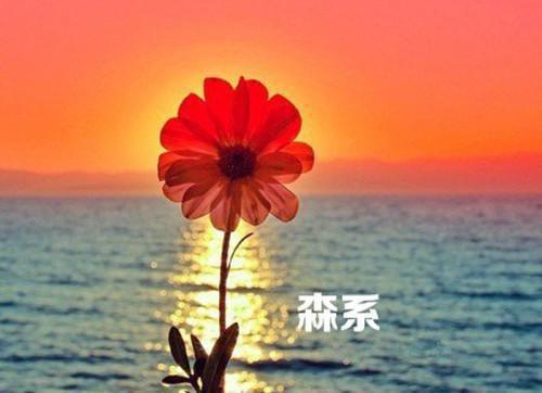 被女神骗了结婚后小说黎昕丁寒涵全集阅读