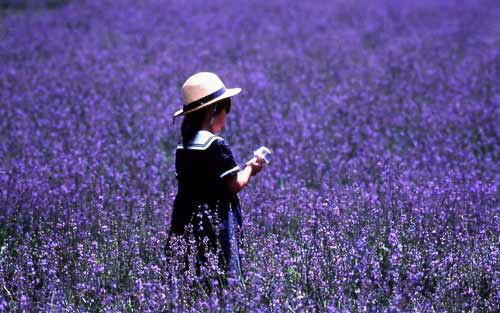 前夫他是粘人精完结版小说_沈奕夏秦胤枭夏晚晴全文阅读