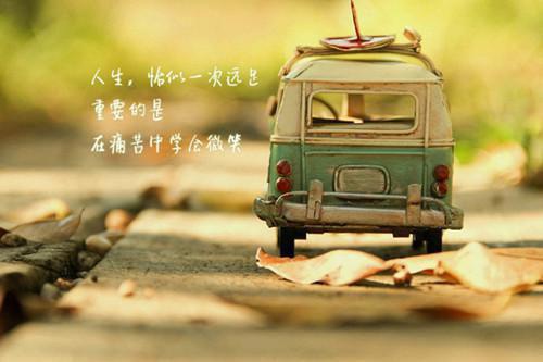 免费小说掌心娇妻不简单by花间辞全章节阅读