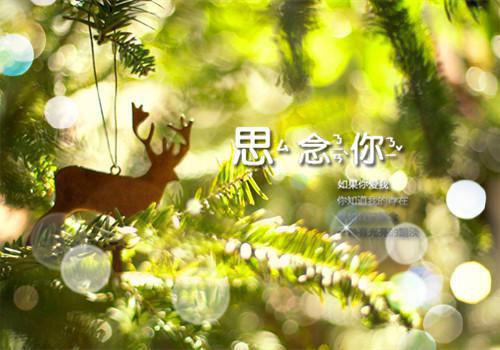 攻略反派boss的正确姿势赵曼思傅俊彦小说最新章节免费阅读