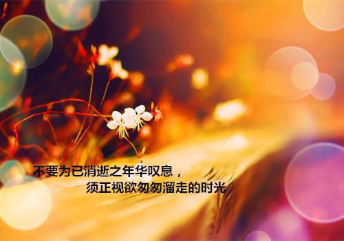 有意义的暑假作文