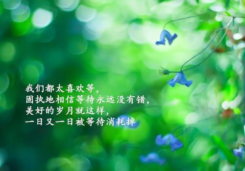 完结版小说只羡鸳鸯不羡仙by夏雷炮免费阅读
