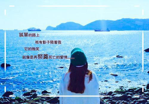 不要皇位要挖煤小说完整版资源免费试读
