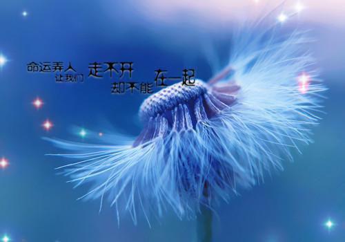 周国平：片刻