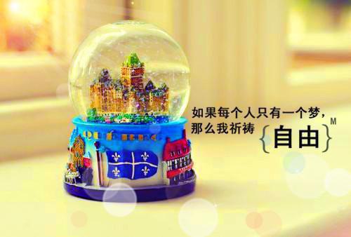 主宰归来糖炒栗子全本小说最新阅读