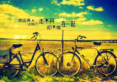 坚持奋斗六十天——写给即将毕业的高三学生