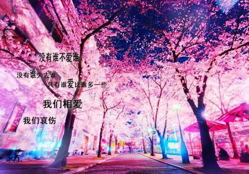 摄政妃全文阅读 司锦章节阅读