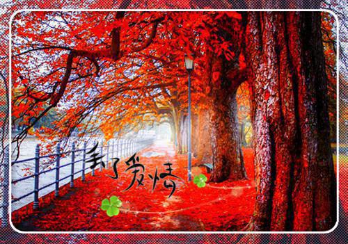 难忘的运动会作文200字