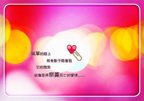 大结局小说王妃她每天都想守寡洛云曦洛七夜阅读