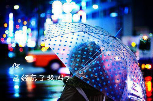 重生之富甲天下逆袭小说沈正陆思甜蔡冬冬无删减阅读