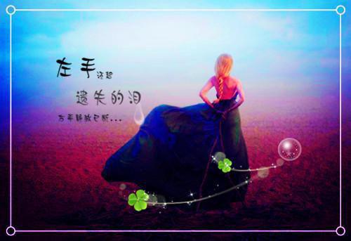 她暗恋成功啦小说治愈系白芷沈商陆全篇阅读