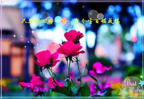 蚂蚁搬家作文