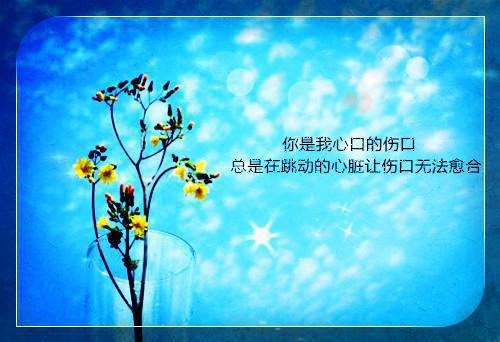 最后一分钟读后感300字