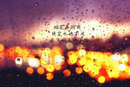 将军我们和离吧沈素心楚长廷 将军我们和离吧小说免费阅读