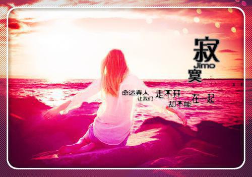 那盆水仙花读后感