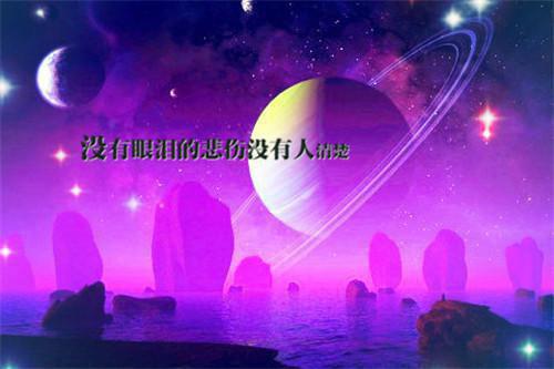 爹地，靠边站两只猫小说（完整版）阅读