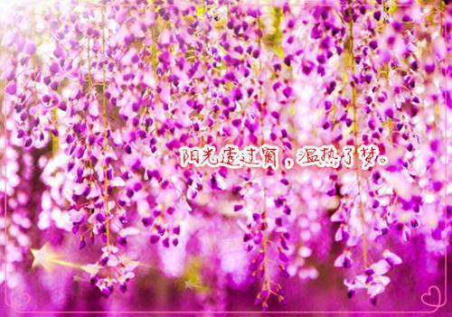 2021开展父亲节活动总结