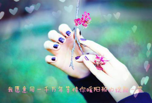都市豪门战神夏万夫苏蒹葭免费阅读 都市豪门战神小说知足常乐