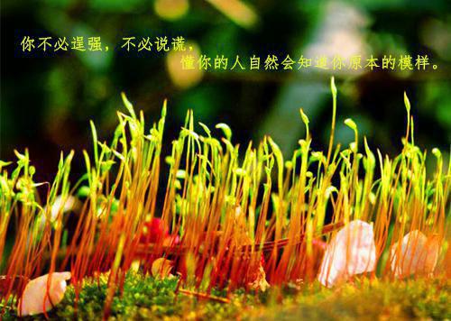 免费小说637910by白小城完结版阅读