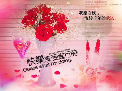 主角是白朝月年锦宸的小说全能特种兵穿越古代在线阅读