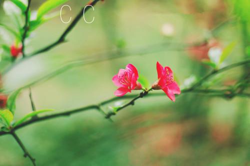 新上《戒不掉你的爱》花清舞小说免费阅读