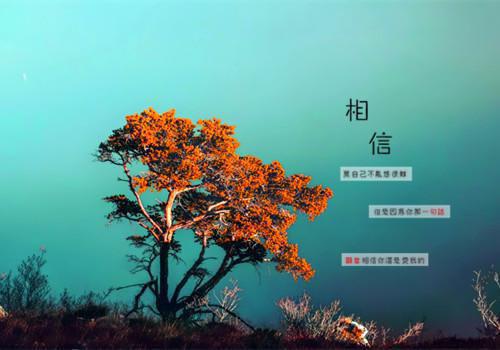 完结版梓涛的小说八零弃妇甜又野阅读