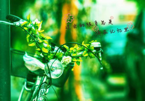 双面人生王浩李洁 双面人生小说全文面免费阅读