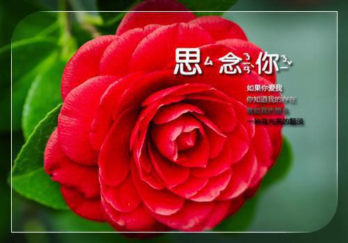 三个故事告诉你，如何衡量薪酬的得失