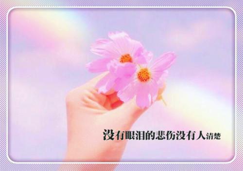 月容辰天小说 月容辰天相思在心恨入骨全文免费阅读
