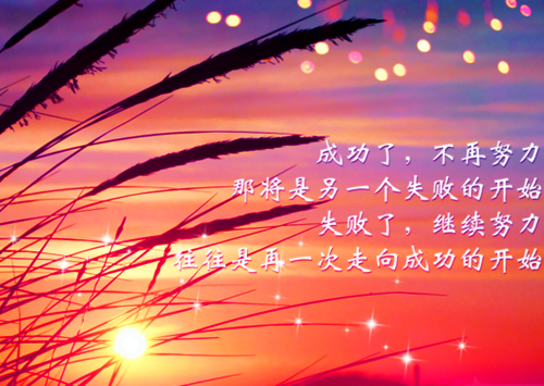 离婚后你别来无恙小说(追爱)李馥艺段誉城目录阅读